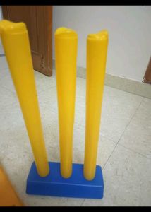 Kids Cricket Set
