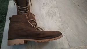 Mens Shoes