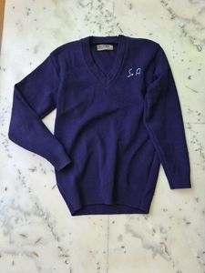Navy V-Neck Sweater