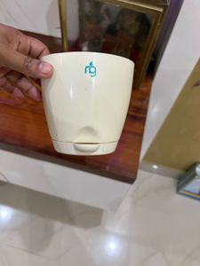 Stylish Cream Planter Pot