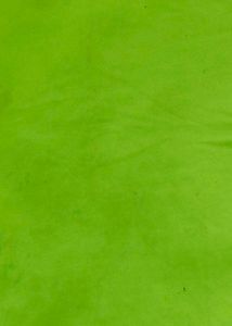 Neon Green T-Shirt