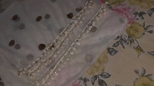 Combo Of 2 DUPATTAS ( Totally New )