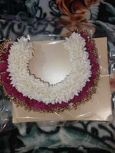 Attractive Woman  Multicolour GAJARA