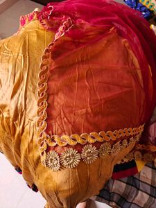 Stunning Ethnic Lehenga Choli Set