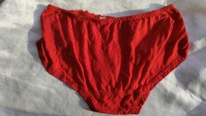 Red Lace Trim Briefs