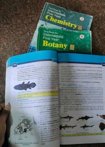 Intermediate First Year Botany, Zoology, chemistry