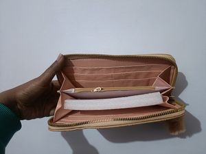 A Brand New Tan Wallet