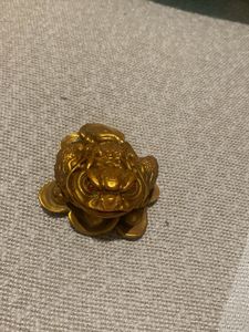 Feng Shui Money Frog