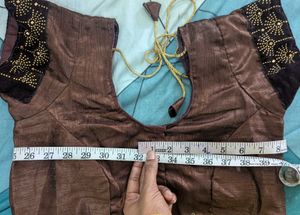 Elegant Brown Saree with Embellished Blouse