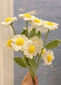 Handmade Crochet Daisy Bouquet