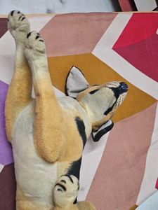 Cute Plush Dog Toy