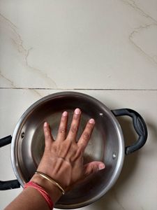 Stainless Steel Cooking Pot