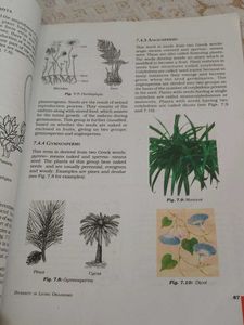 Class IX Science Textbook