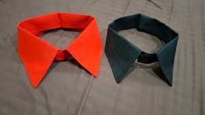 Set of 2 Detachable Collars 17inch