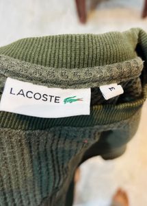 Olive Green Lacoste Cropped Top