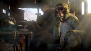 Far Cry 4 &amp; Primal (PS4/PS5)