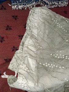 Embellished Lehenga Choli Fabric