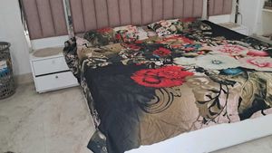 Digital Print New Bedsheet King Size With Pillo