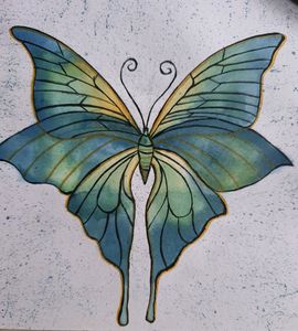 butterfly painting🦋