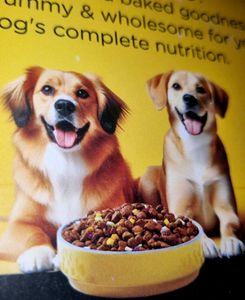 Pedigree(2)+ Whiskas(2)+ Henlo + Felix = Pet Food!