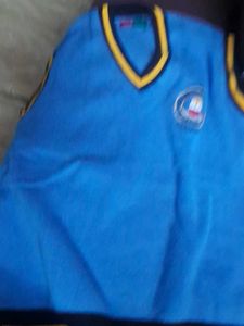 Blue V-Neck Sweater Vest