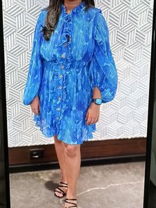 Blue Floral Print Button-Up Dress