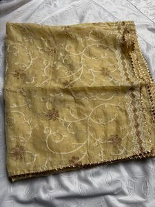 Bundle of Festive Dupatta
