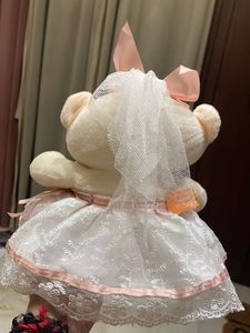 Cute Teddy Bear with Dress