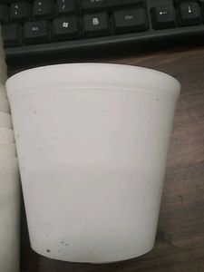 12 White Plastic Plant Pots