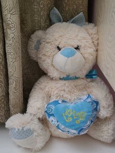 teddy bear