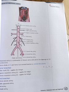 PW MED ED anatomy notes of Dr. Pradeep Pawar