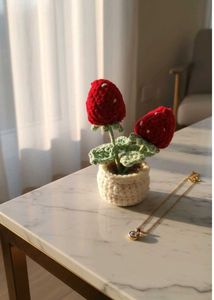 Crocheted Strawberry Plant Decor