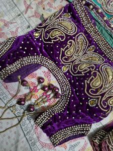 Exquisite Fishcut Lehenga Set