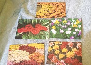 Vintage Floral new year greeting cards in hindi