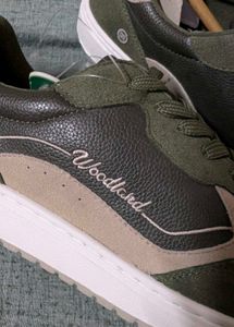 Limited Edition Size 8