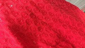 Beautiful Lush Red Chikankari Kurti
