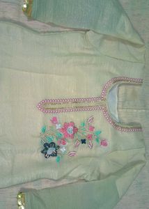 Beautiful Skin Colour Embroidered Suit