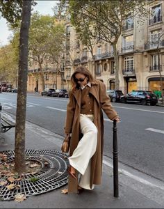Elegant Zara Trench Coat