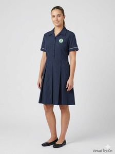 Classic Pinstripe School Dress