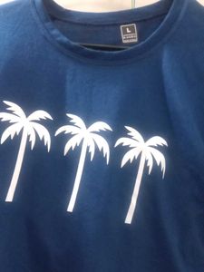 Combo Of 4 Cropped Tshirt