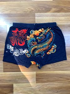 y2k dragon shorts