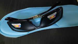 Polarized shades- New