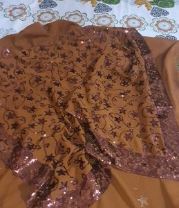 Sparkling Brown Saree & matching blouse