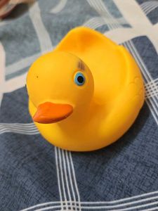 duck bath toys