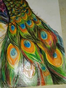 Vibrant Peacock Feather Artwork