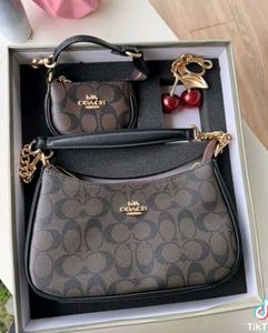 Coach Teri gift packaging 🎁