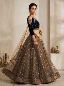 Elegant Sequined Lehenga Choli Set