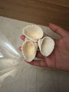 real seashell handpained tinkle tray