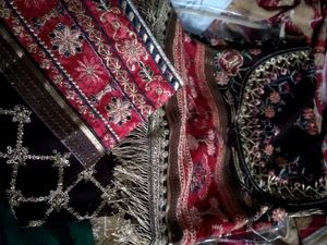 New Arrival Elegant Pakistani Article