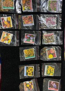 Pack Of 12 Different Plants Seeds